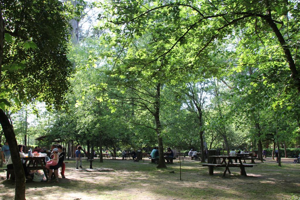 Coimbra Heights Διαμέρισμα Εξωτερικό φωτογραφία
